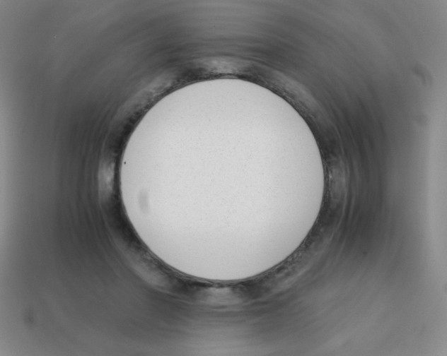 X0000113870406200910221339