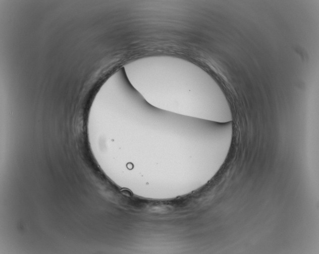 X0000113870407200910221339