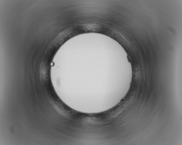 X0000113870408200910221339