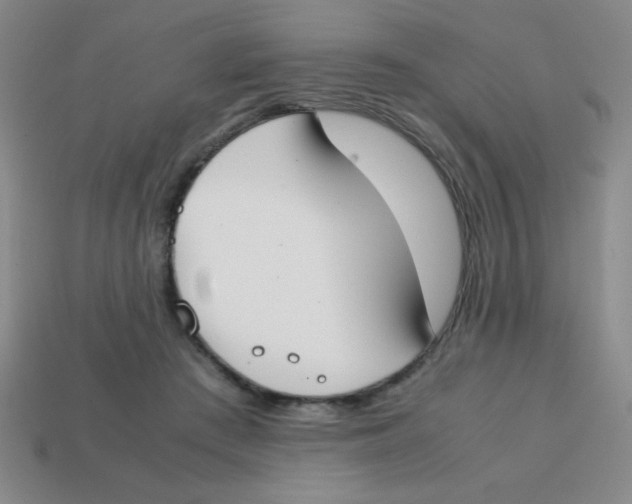 X0000113870409200910221339