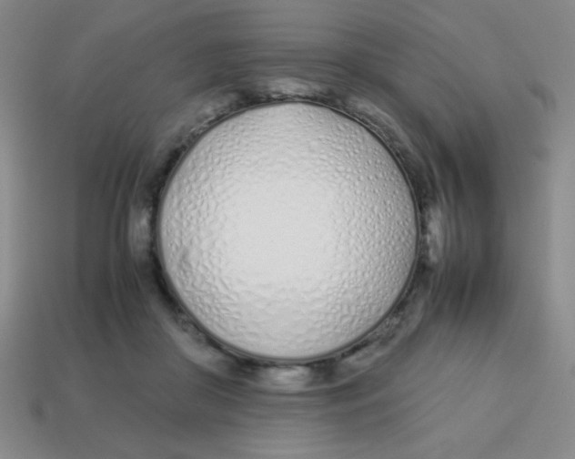 X0000113870410200910221339