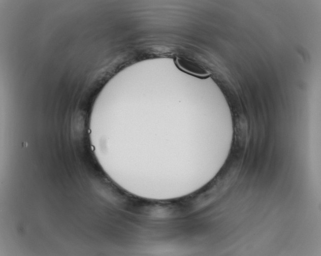X0000113870412200910221339