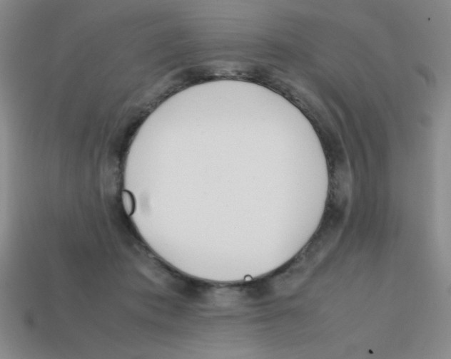X0000113870413200910221339