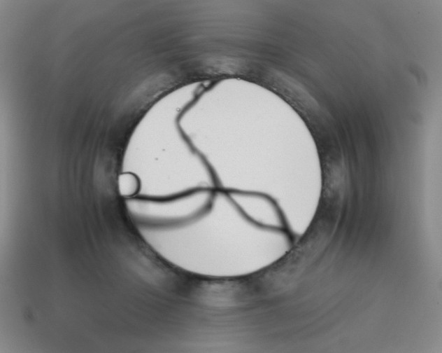 X0000113870414200910221339