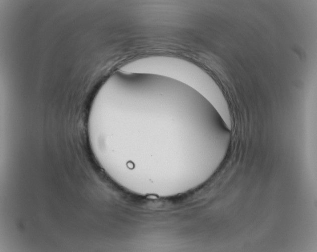 X0000113870415200910221339