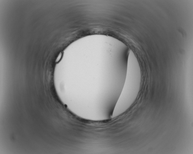 X0000113870417200910221339