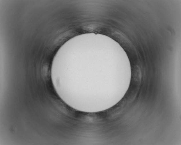 X0000113870420200910221339