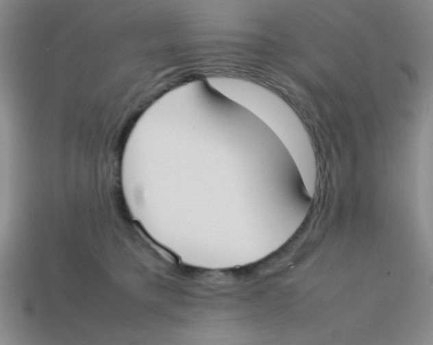 X0000113870421200910221339