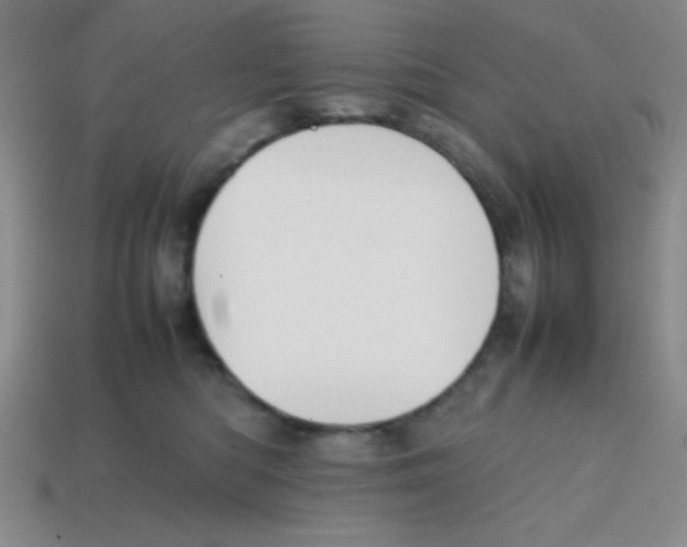 X0000113870422200910221339