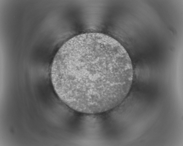 X0000113870423200910221339
