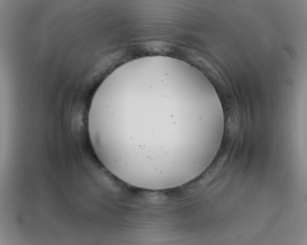 X0000113870424200910221339