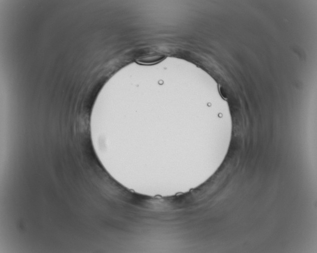 X0000113870425200910221339