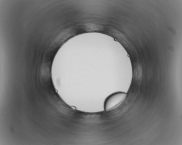 X0000113870426200910221339