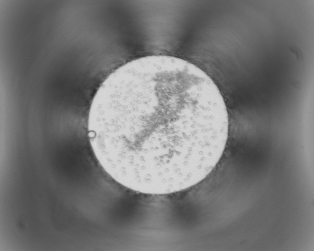 X0000113870427200910221339