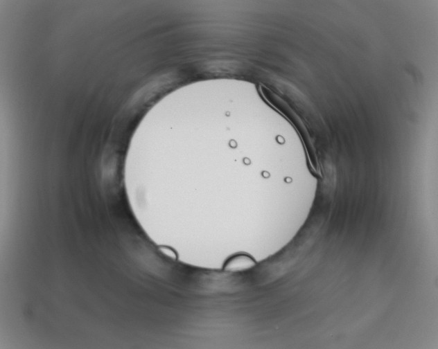 X0000113870428200910221339