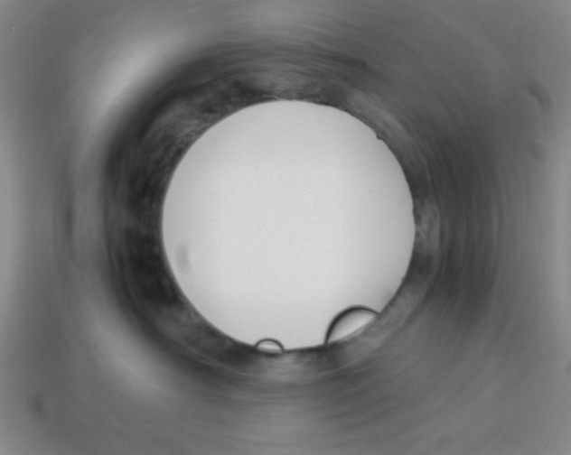 X0000113870430200910221339