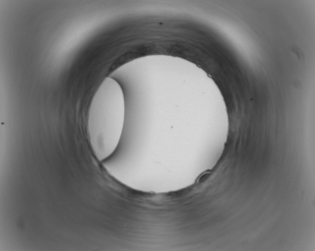 X0000113870431200910221339