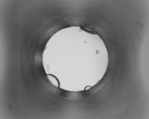 X0000113870432200910221339