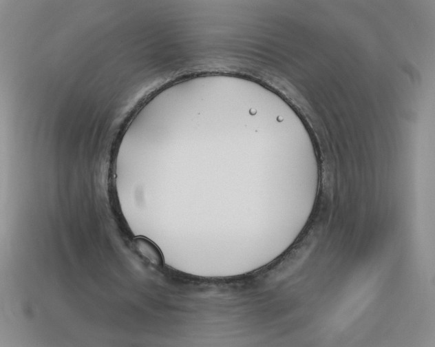 X0000113870434200910221338