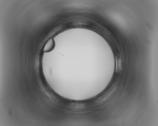X0000113870435200910221338