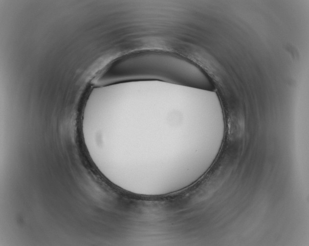 X0000113870436200910221338