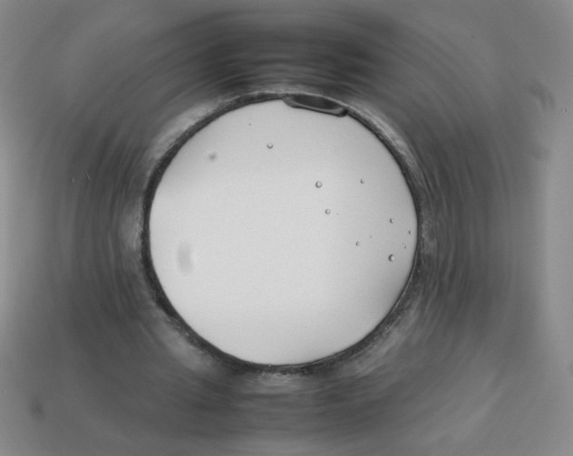 X0000113870437200910221338