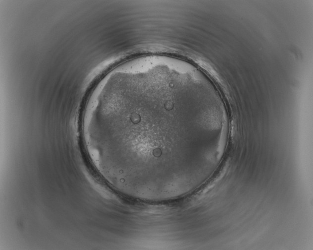 X0000113870438200910221338