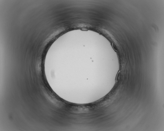 X0000113870443200910221338