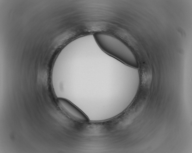 X0000113870444200910221338