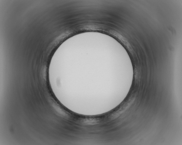 X0000113870445200910221338