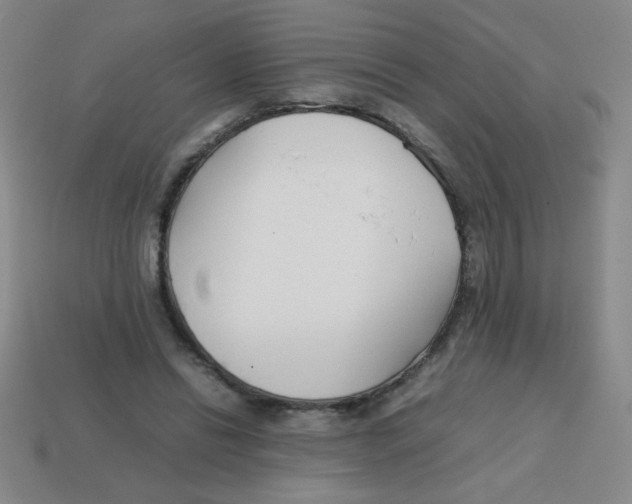 X0000113870446200910221338