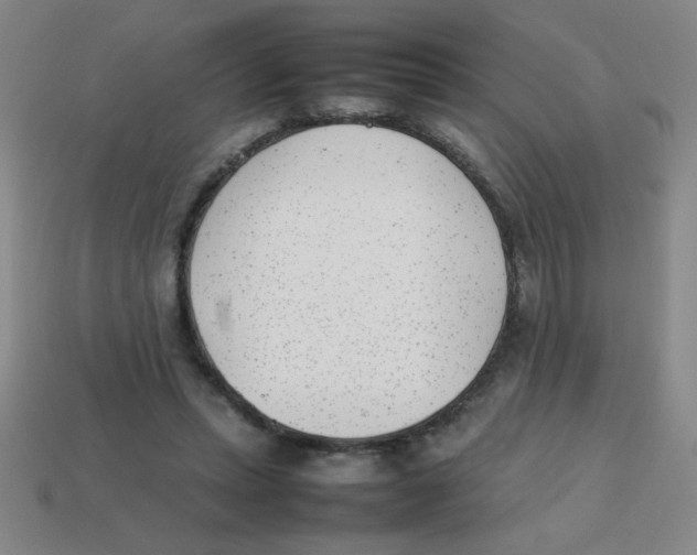 X0000113870447200910221338