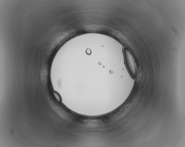 X0000113870448200910221338