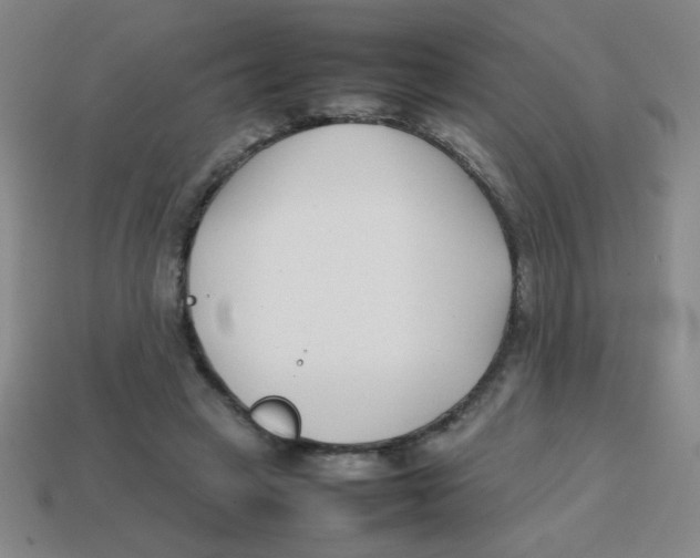 X0000113870449200910221338