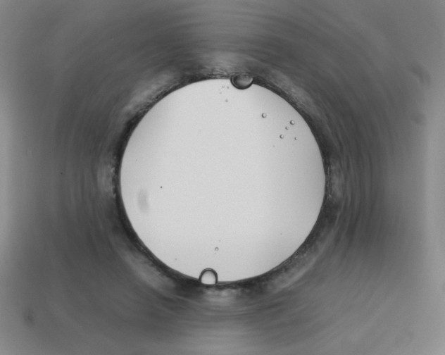 X0000113870450200910221338