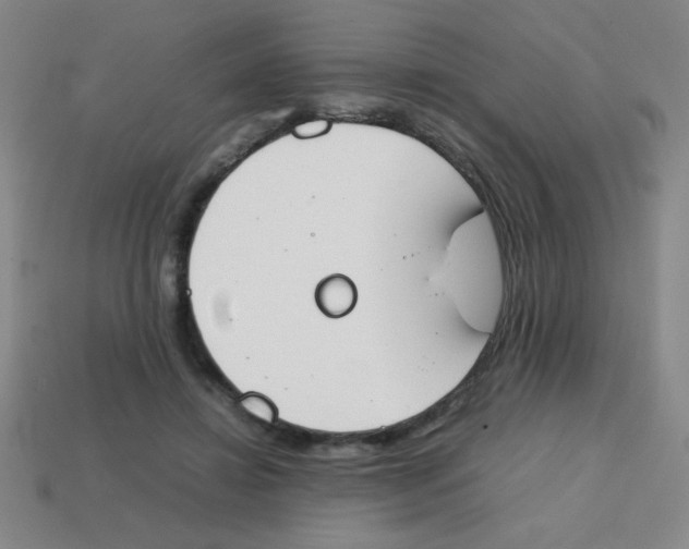 X0000113870452200910221338