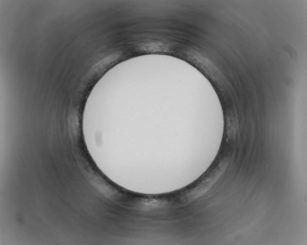 X0000113870453200910221338