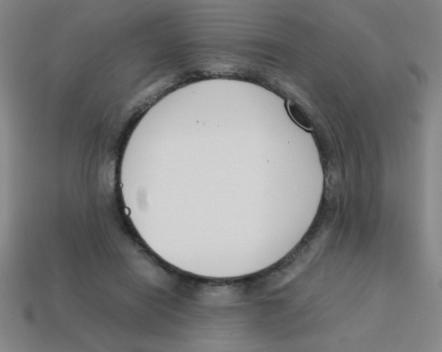 X0000113870454200910221338