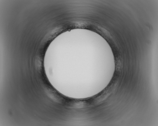 X0000113870456200910221338