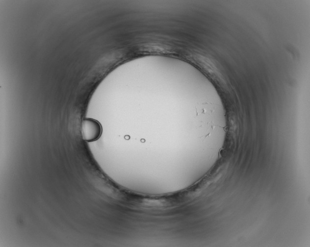 X0000113870457200910221338