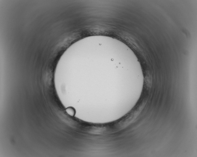 X0000113870458200910221338
