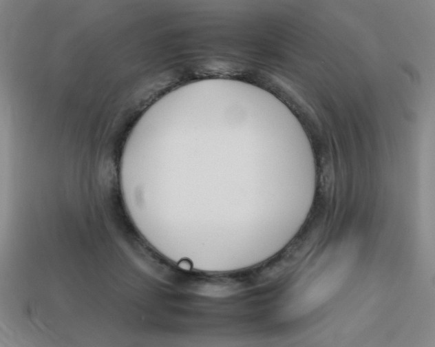 X0000113870459200910221338