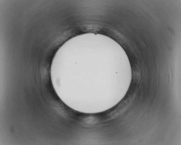 X0000113870460200910221338