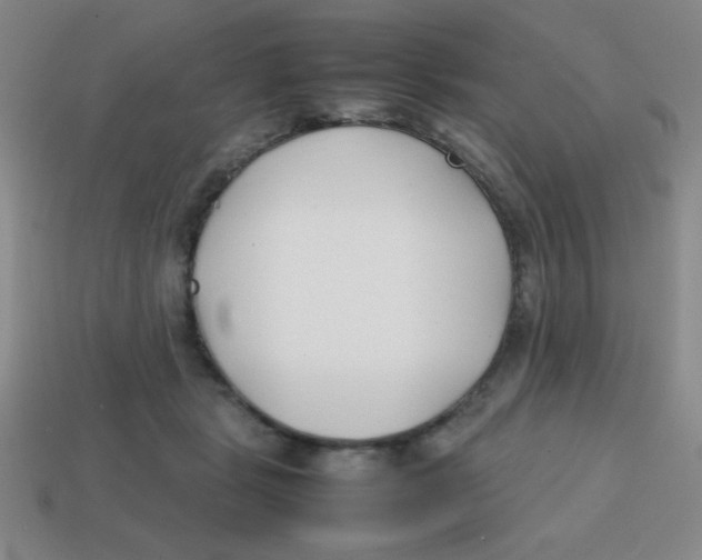 X0000113870461200910221338