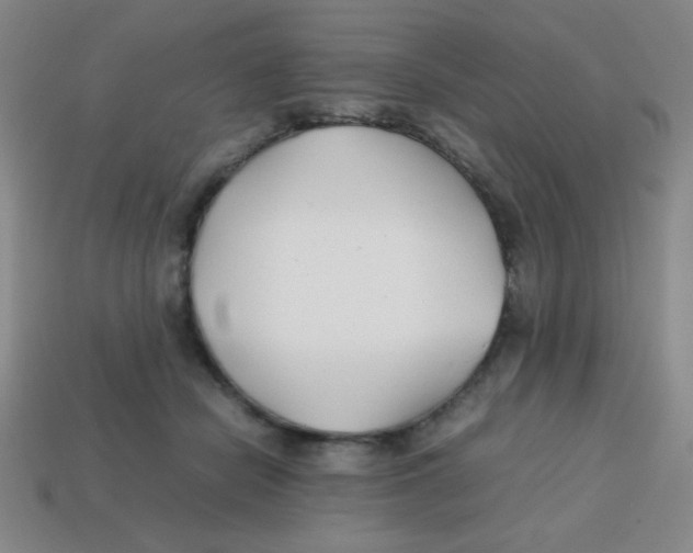 X0000113870462200910221338