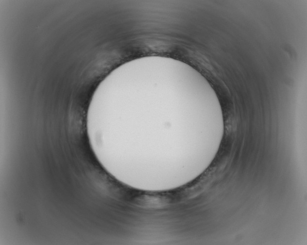 X0000113870464200910221338
