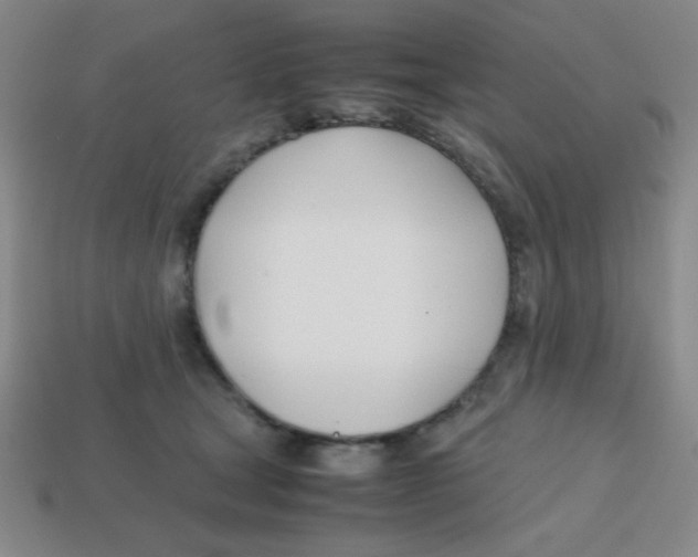 X0000113870465200910221338