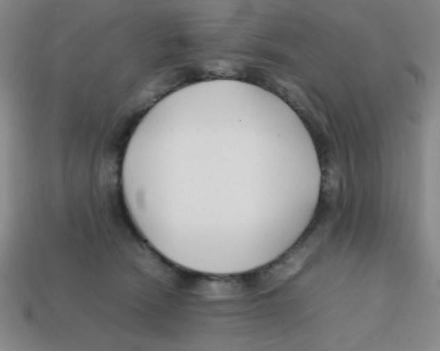 X0000113870466200910221338
