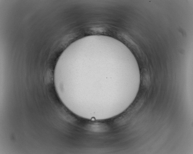 X0000113870467200910221338