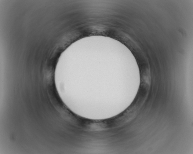 X0000113870468200910221338